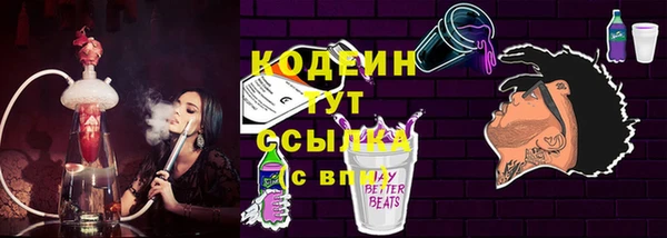 прущие грибы Балахна