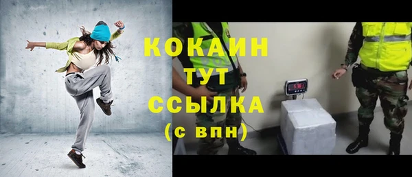 прущие грибы Балахна