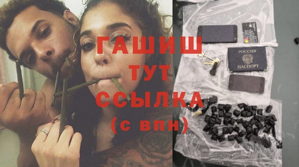 прущие грибы Балахна