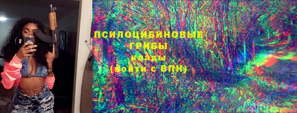 прущие грибы Балахна