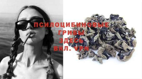 прущие грибы Балахна