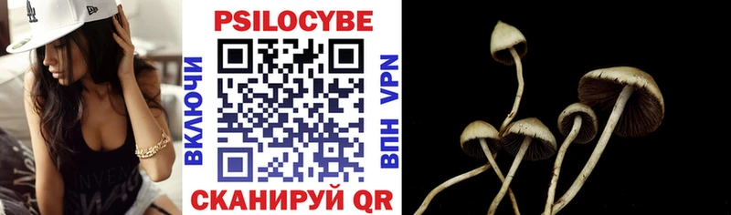 Галлюциногенные грибы прущие грибы  мега как зайти  Окуловка 